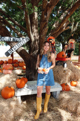 Blue Jean Baby Denim Mini Dress