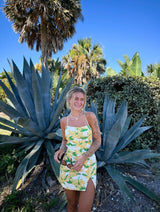 Summer Fever Hibiscus Dress