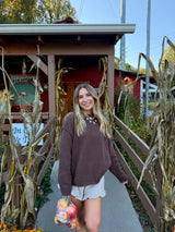 Cinnamon Apple Brown Sweater