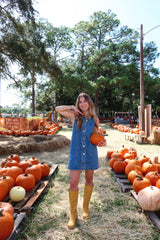 Blue Jean Baby Denim Mini Dress