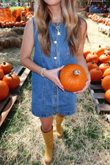 Blue Jean Baby Denim Mini Dress