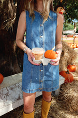 Blue Jean Baby Denim Mini Dress