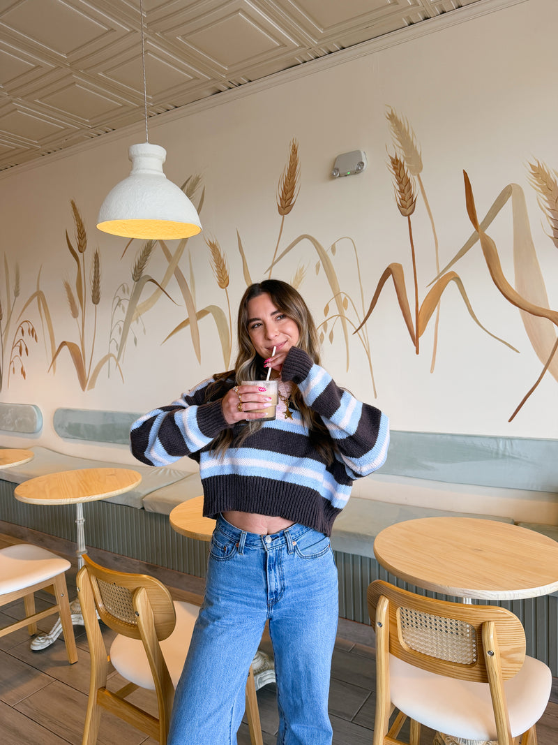 Chocolate Blueberry Striped Crop Sweater