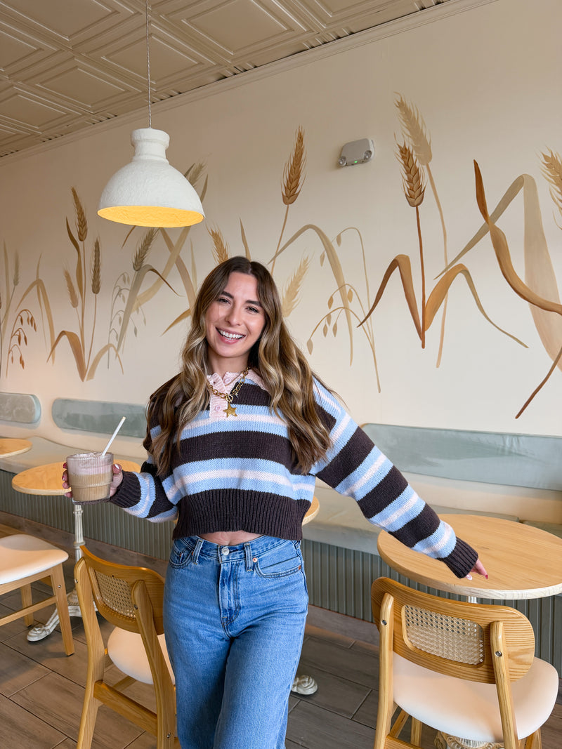 Chocolate Blueberry Striped Crop Sweater