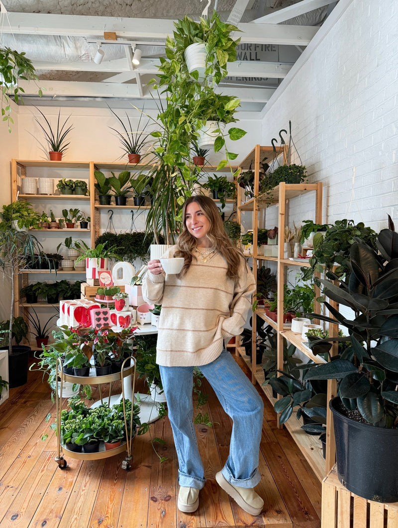 Neutral Ground Striped Sweater