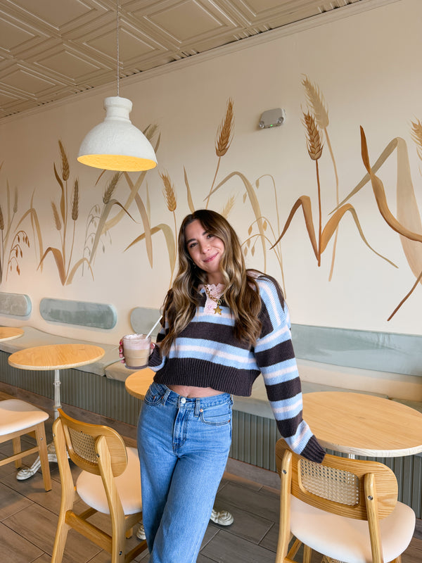 Chocolate Blueberry Striped Crop Sweater