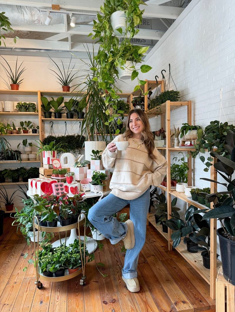 Neutral Ground Striped Sweater