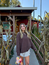 Cinnamon Apple Brown Sweater