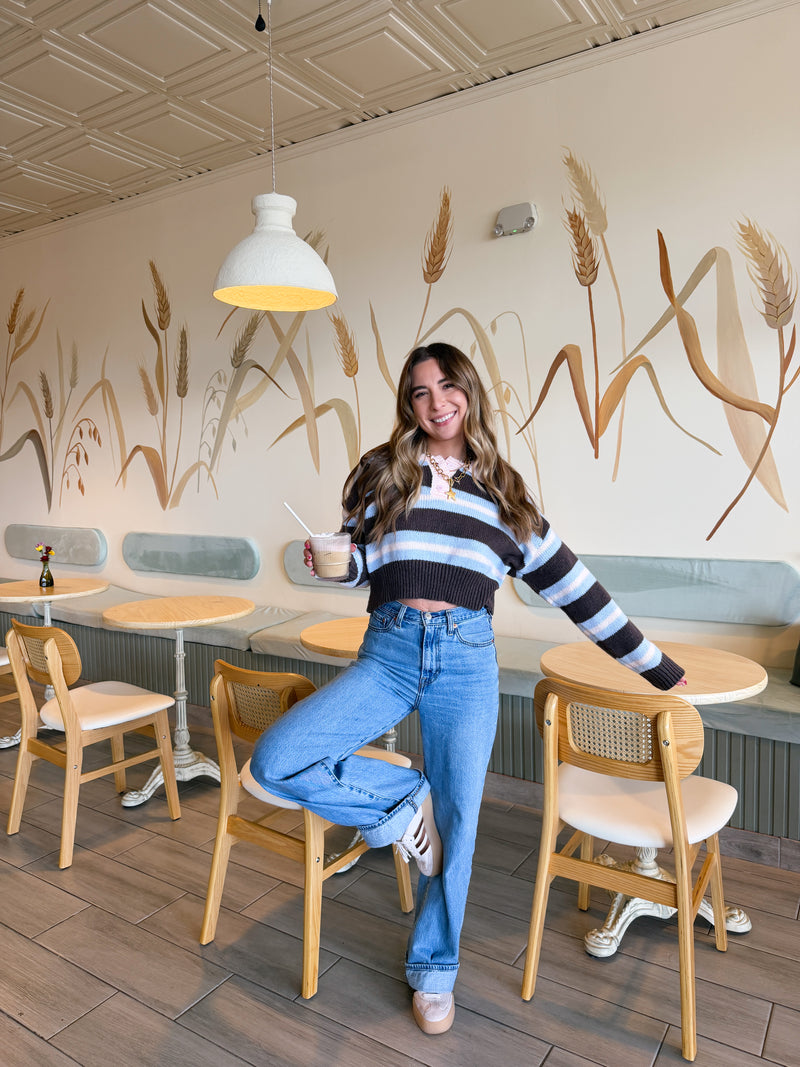 Chocolate Blueberry Striped Crop Sweater