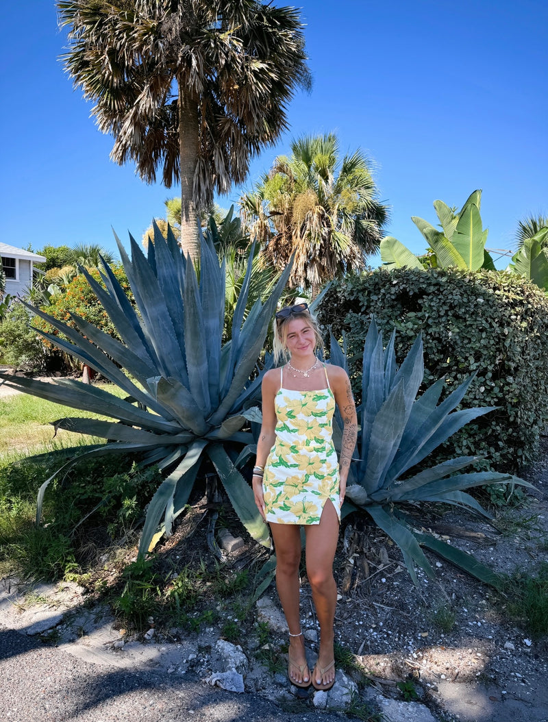 Summer Fever Hibiscus Dress