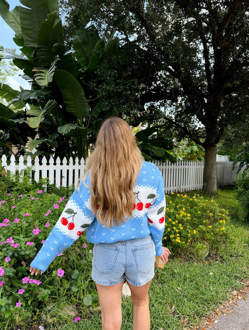 Blue Jean Baby Denim Skort