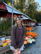 Cinnamon Apple Brown Sweater