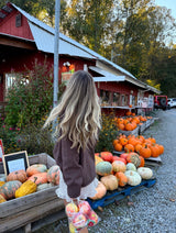 Cinnamon Apple Brown Sweater