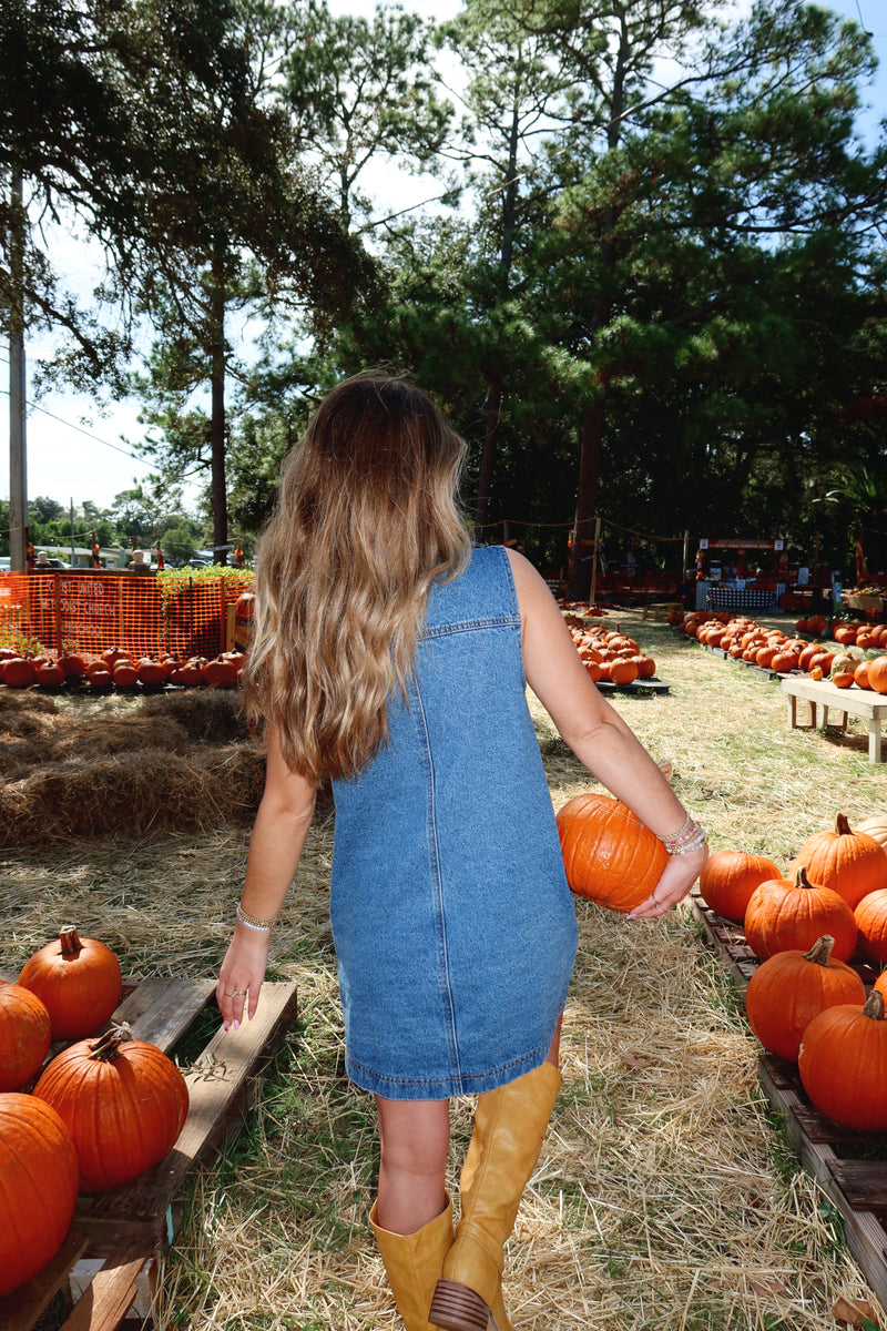 Blue Jean Baby Denim Mini Dress – Sunhoney®